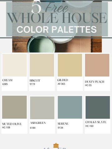 color palette with text overlay