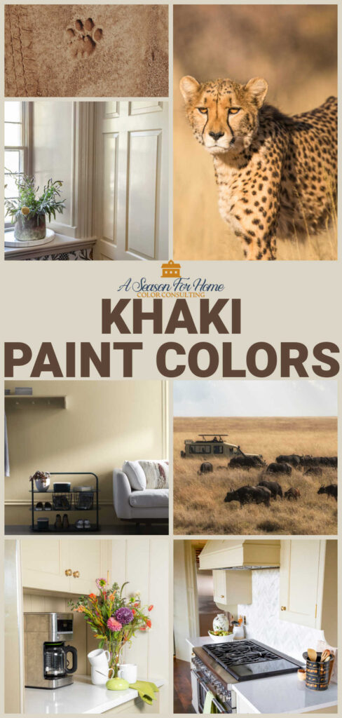 khaki paint color collage