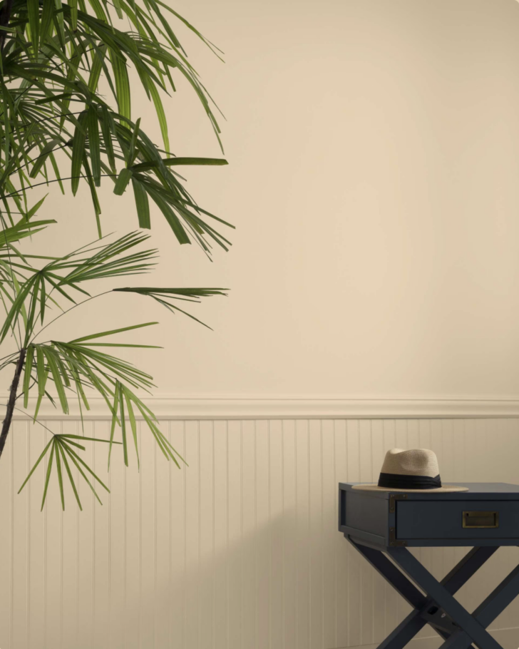 kitsilano beach on a wall with a palm plant and table with crossed legs