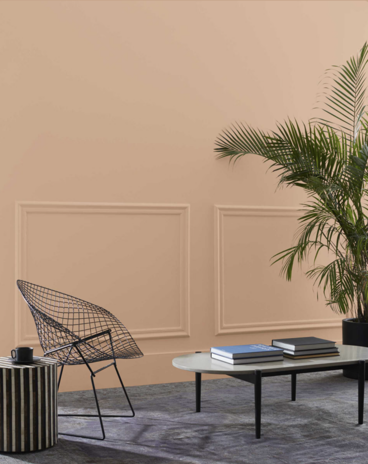 galt peach paint colored room with a wire chair, coffee table and palm plant