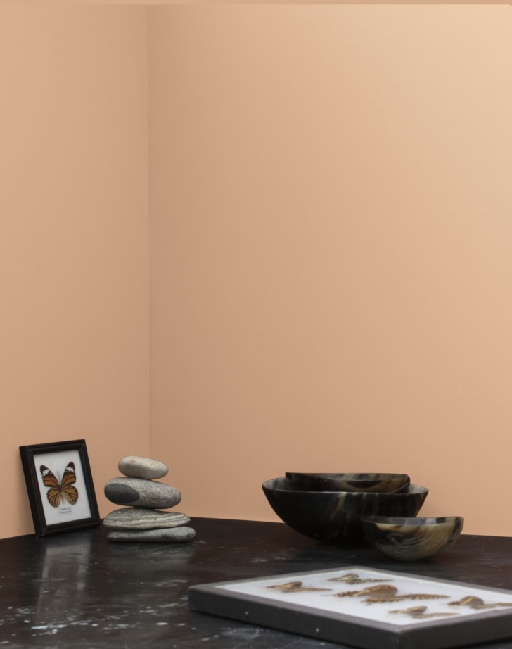 casabella by bm painted in a home office with black accents