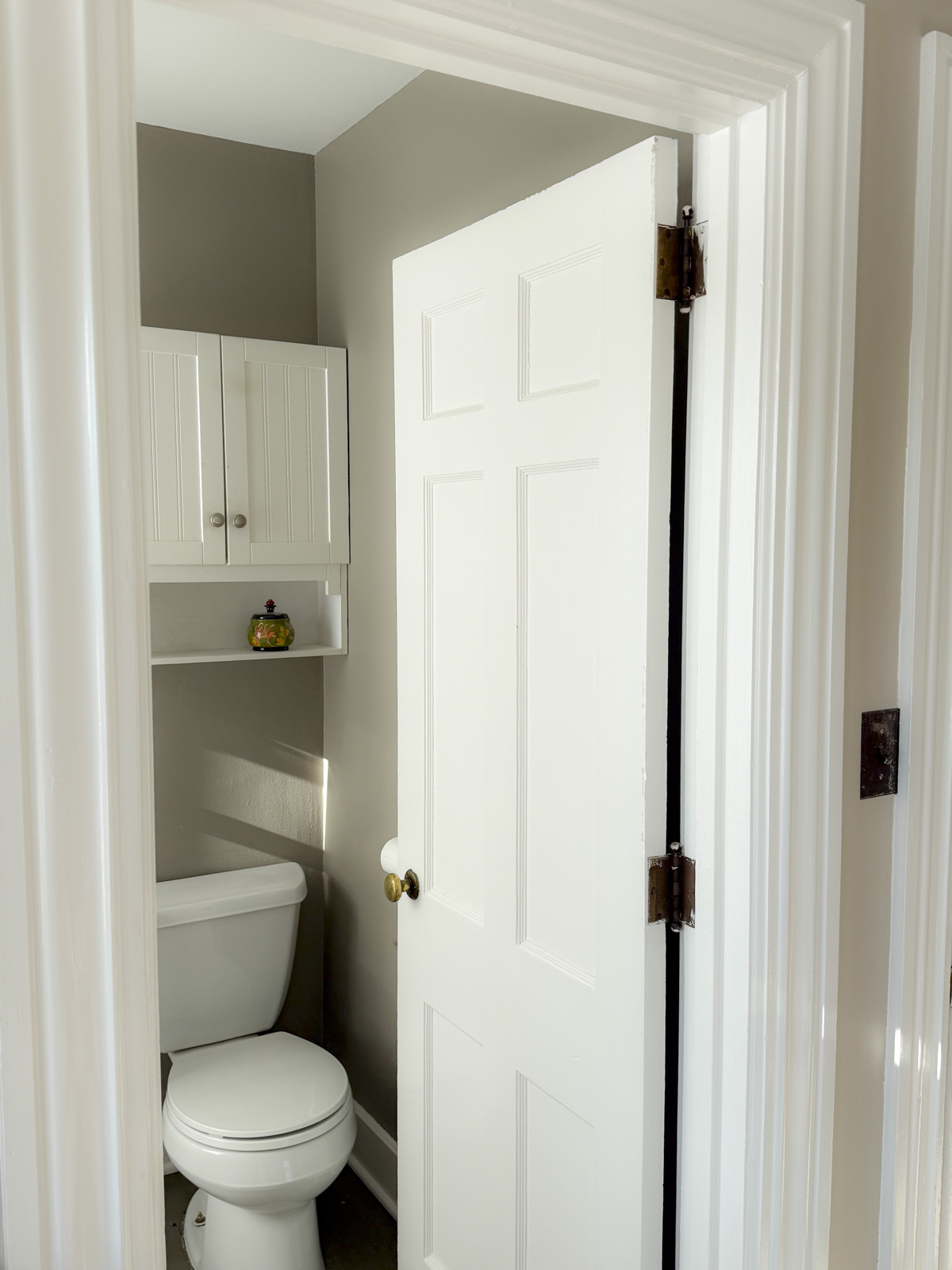 Our guest bathroom is painted Briarwood (aka Indian River)