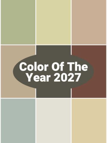My COTY predictions and color palette of the year for 2027